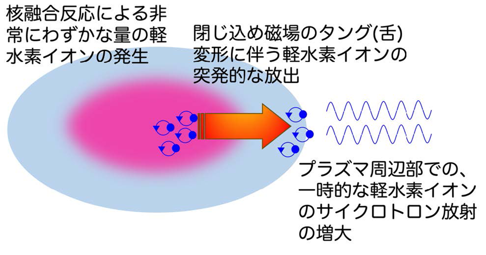 LHDの研究成果